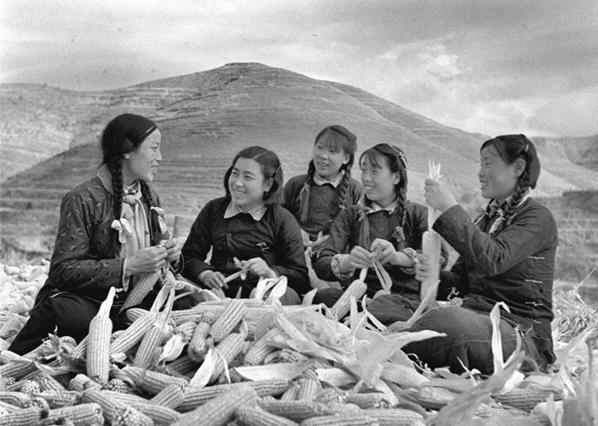 http://www.ccdi.gov.cn/yaowen/202006/W020200628457699257729.jpg