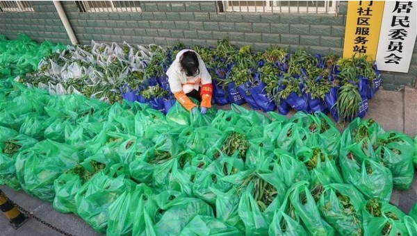 http://www.ccdi.gov.cn/toutiao/202003/W020200324704456092727.jpg