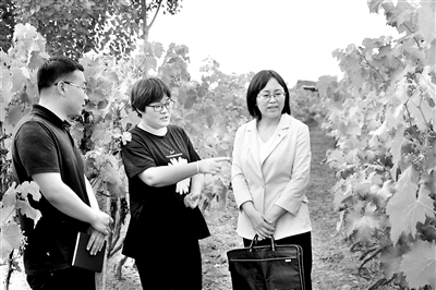 http://www.jjjcb.cn/content/1/1/2020-05/25/7/res01_attpic_brief.jpg