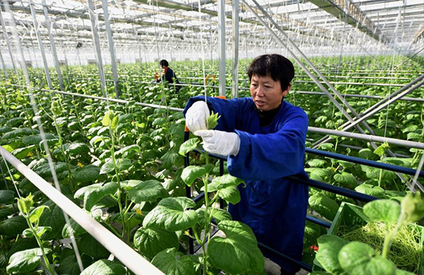 http://www.ccdi.gov.cn/toutiao/202012/W020201220863107490830.jpg