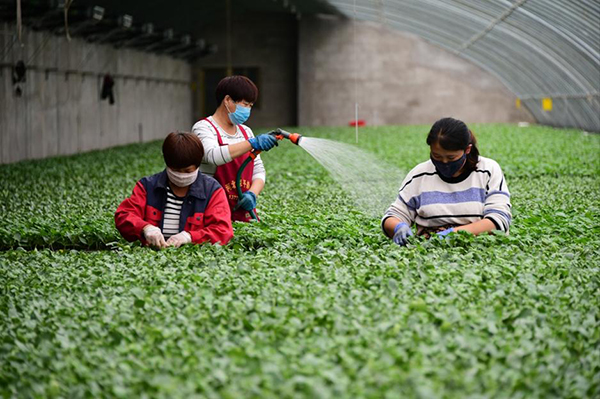 http://www.ccdi.gov.cn/toutiao/202012/W020201220863107510161.jpg