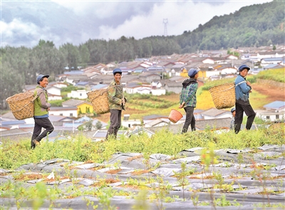 http://www.ccdi.gov.cn/toutiao/202012/W020201214234486816468.jpg