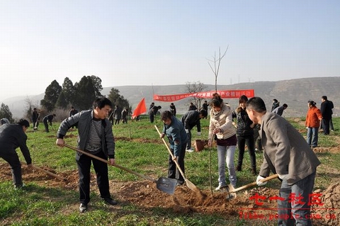 陕西渭南市纪委监察局干部栽下致富树