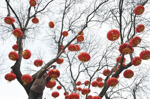 1月19日,山西省晋城市城区凤台西街,市民在往树上挂灯笼。春节将至,山西省晋城市大街小巷张灯结彩,营造出浓郁的节日气氛。新华社发(袁文中 摄)