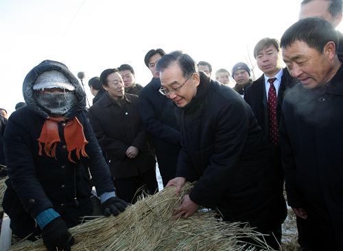 这是1月2日,温家宝冒着零下28摄氏度的严寒,来到位于扎龙湿地附近的林甸县三合乡胜利村,在村民杜瑞芬家的院子里,翻看村民用稻草编的草席。 新华社记者兰红光摄