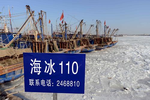 莱州公安边防大队在海庙口渔港醒目位置张贴“海冰110”告示牌(1月10日摄)。新华社记者 郭绪雷 摄