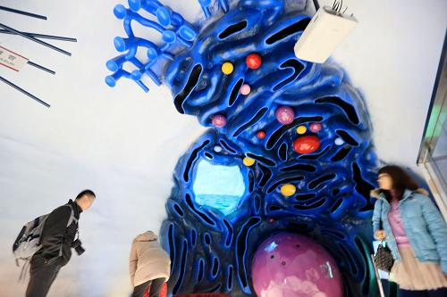 2月12日,观众在北京中国科技馆内参观人体的微管模型,感受“科技春节”。新华社发